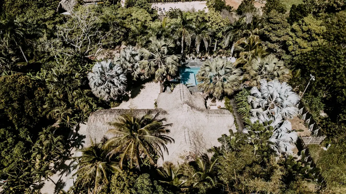 Vista aérea de THE ZAMAZ en Barú, rodeado de vegetación tropical y palmeras